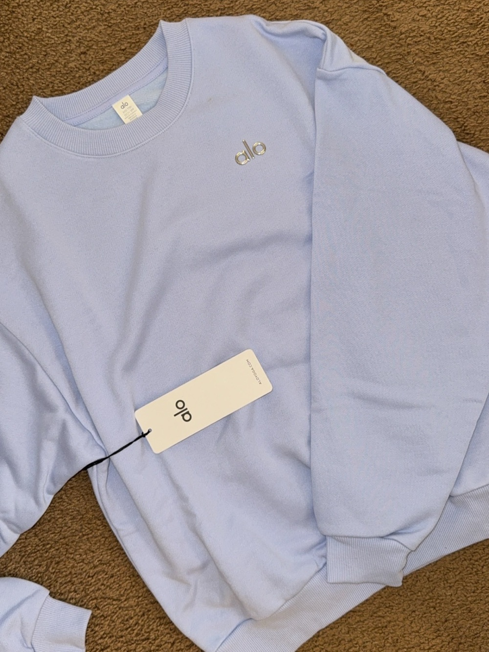 ALO Yoga Crewneck Sweatshirt in Light Blue